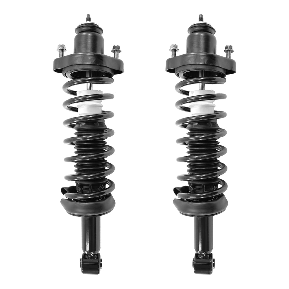 Unity Automotive 2 Rear Complete Strut Assemblies 2-16050-001
