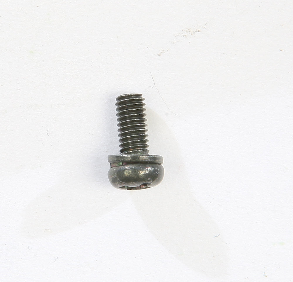 SCREW W/WASHER