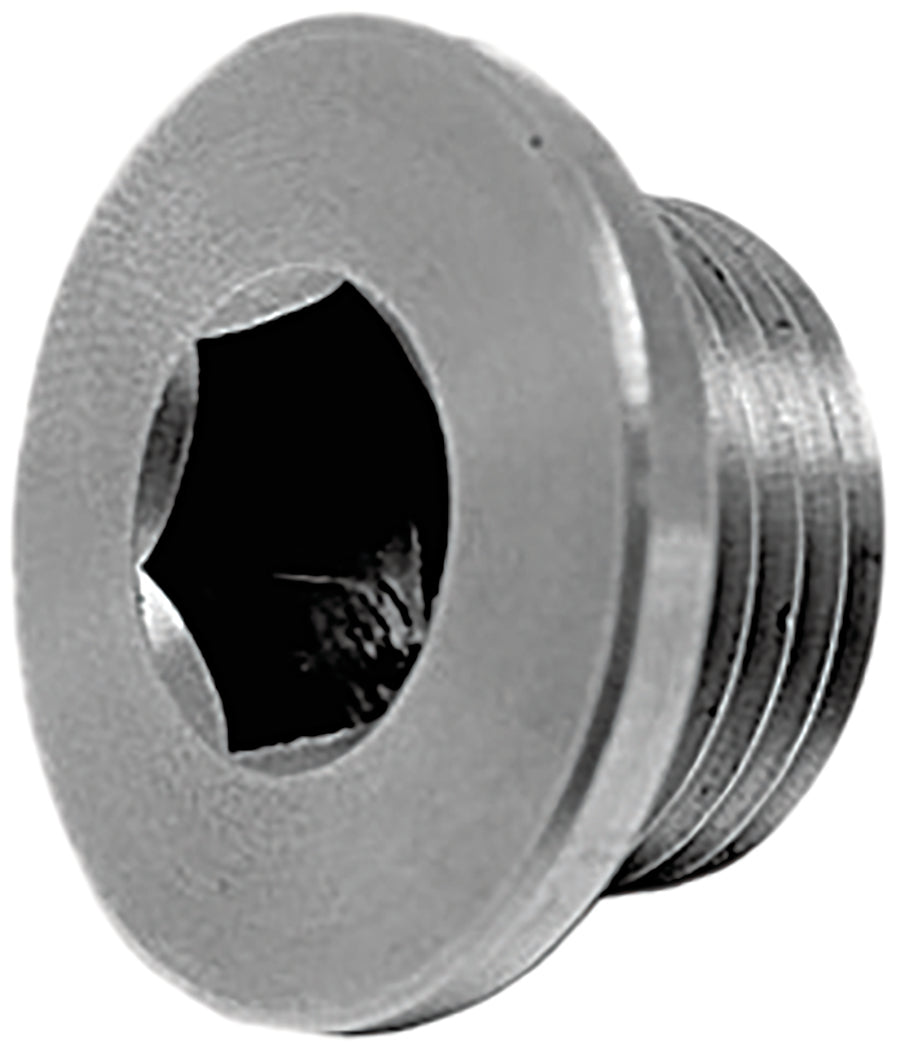 OXYGEN SENSOR PLUG