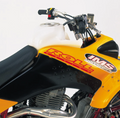 FUEL TANK NATURAL 4.3 GAL