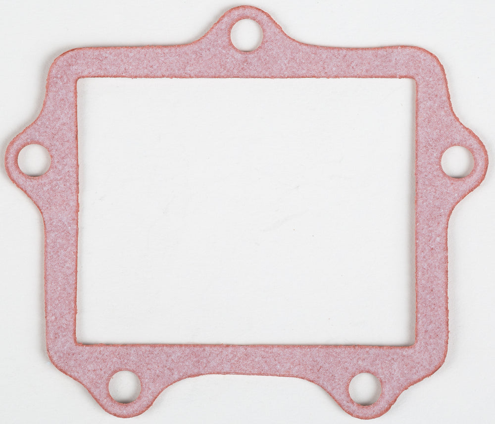 MOTORCYCLE RAD GASKET