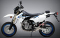 EXHAUST SIGNATURE RS-4 FULL-SYS SS-CF-CF DUAL