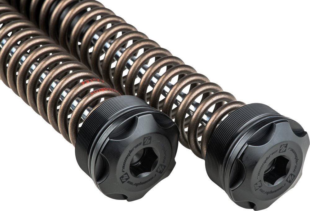 SCEPTER +2" CARTRIDGE KIT 49MM HVY WEIGHT  FLH/FLT 14-24