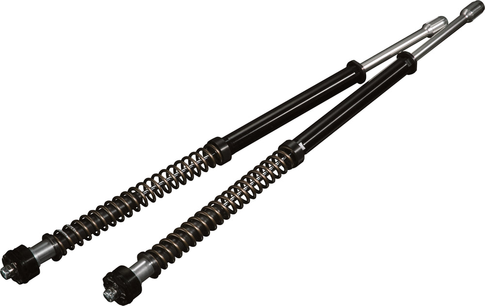 SCEPTER +2" CARTRIDGE KIT 49MM MED WEIGHT  DYNA 06-17