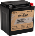 HIGH PERFORM BATTERY YIX30L CCA 400