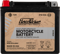 HIGH PERFORM  BATTERY YTX20H CCA 310