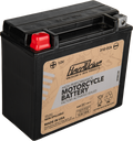 HIGH PERFORM  BATTERY YTX20H CCA 310