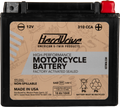 HIGH PERFORM BATTERY YTX20HL CCA 310