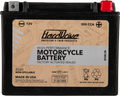 HIGH PERFORM BATTERY YTX24HL CCA 350
