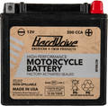 HIGH PERFORM BATTERY YTX14L CCA 200
