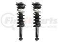 Unity Automotive 2 Rear Complete Strut Assemblies 2-16110-001
