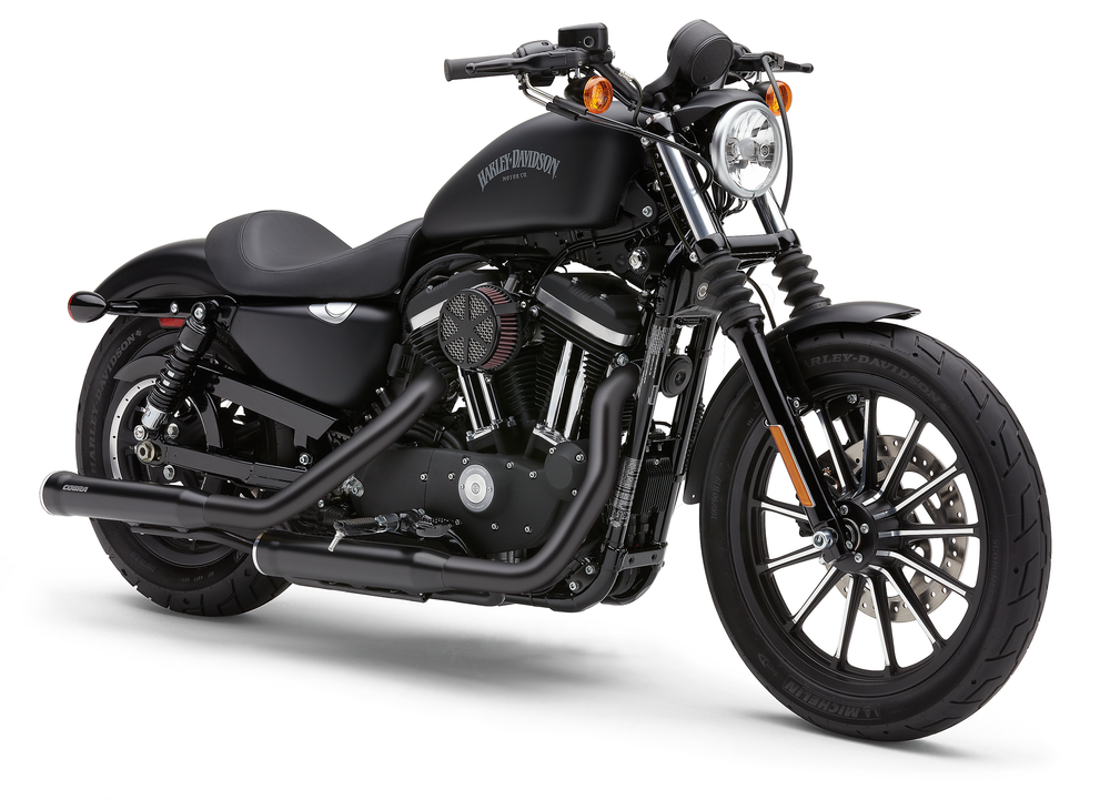 HEATHSHIELD BLACK SPORTSTER 14-22