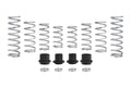 Eibach springs