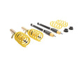 Suspension Techniques coilovers detail