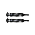ICON shock absorber