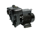 E300 PUMP 220V/60HZ ARL 2'BSP - REQ