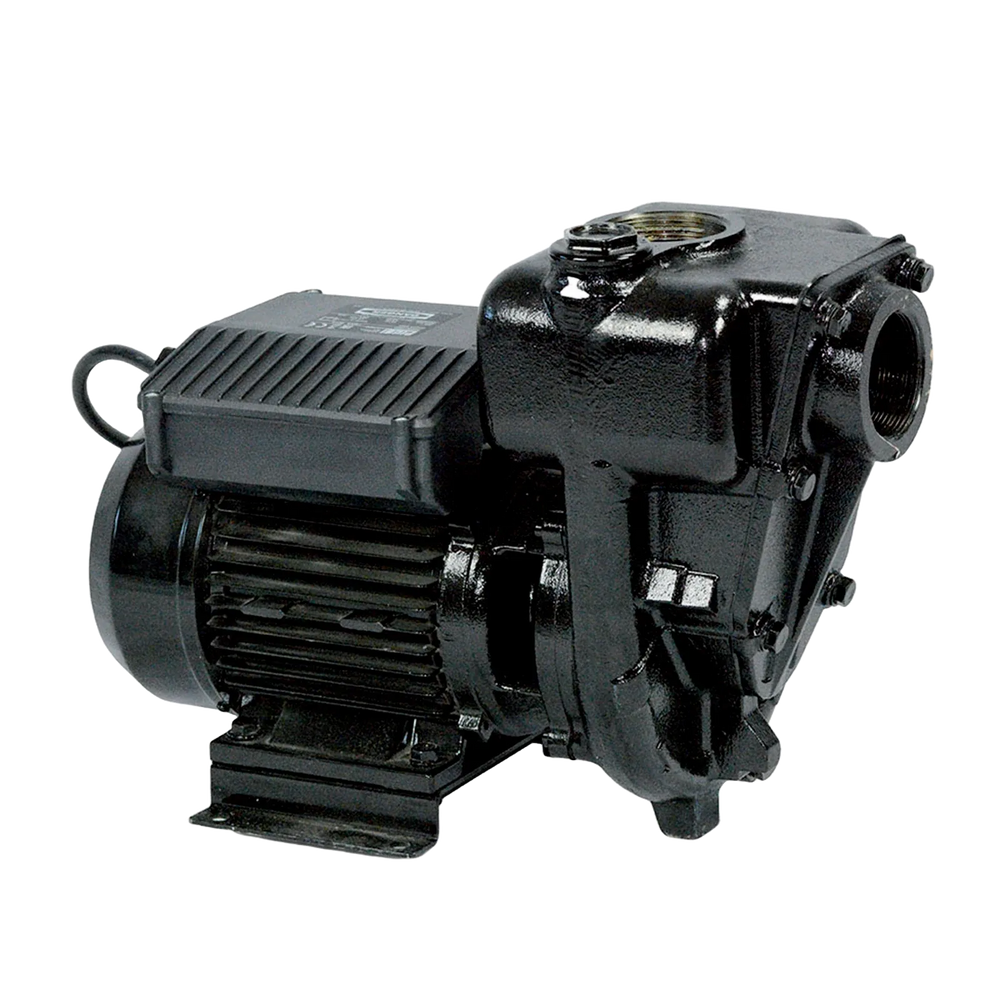 E300 PUMP 220V/60HZ ARL 2'BSP - REQ