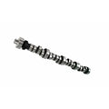 XE 248/254 Solid Roller CL-Kit Ford 351W