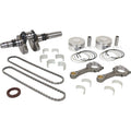 COMPLETE ENGINE REBUILD KIT CAN
