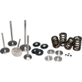 Ferrea 15-24 BMW S58 Single Spring Kit