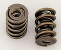SPRING-1450 POLISHED
