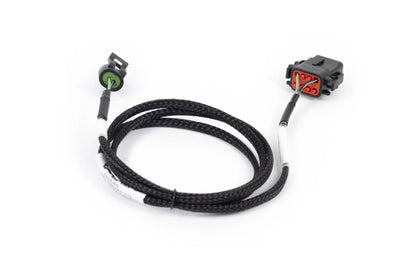 Haltech NEXUS Rebel LS Terminated Harness for ECU