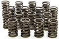 1.530in Valve Springs
