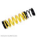 Suspension Techniques springs close-up