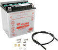 Yuasa YB30L-B Yumicron CX 12-Volt Battery