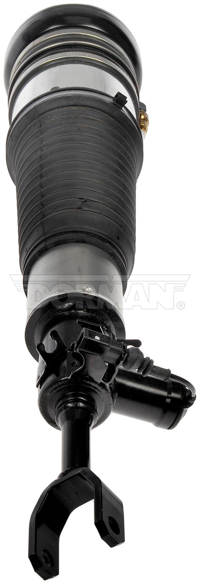 AIR STRUT