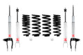 Eibach springs