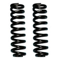 Skyjacker springs detail