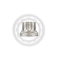 Wagner Tuning 06-10 Volkswagen Passat B6 3.6L R36 Nickeled Head Stud Set
