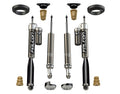 TeraFlex shock absorber