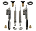 TeraFlex shock absorber