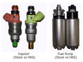 HKS fuel pump