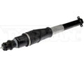 Dorman shock absorber