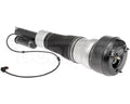 Dorman strut brace
