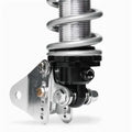 QA1 78-88 GM G-Body Pro Rear Coil-Over System - Double Adj. - 12in x 170lbs/in - Aluminum