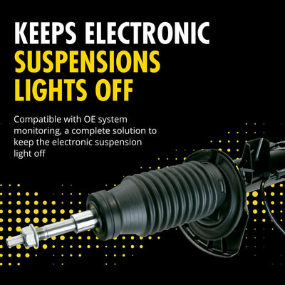 MONROE SHOCKS & STRUTS auto part