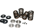 Ferrea Honda H22 Pac Enhanced Dual Spring Kit