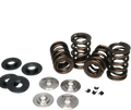 Ferrea Subaru WRX EJ20 Drag Racing Dual Spring Kit