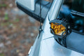 MORIMOTO 4BANGER DITCH LIGHT KIT: 1