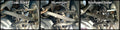 (KIT) 14C CHEVY/GM 1500 4WD 4.5IN STEEL ARMS