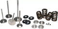 Ferrea Acura TSX/ILX K24Z3/K24Z7 Dual Spring Kit