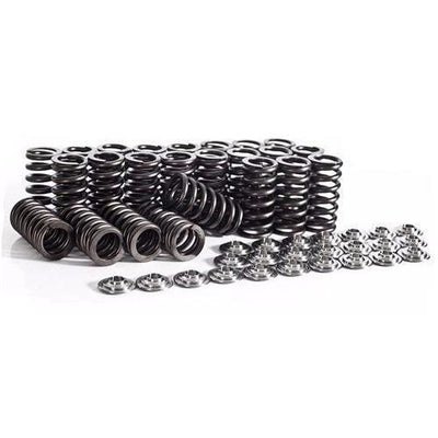 Ferrea Racing springs