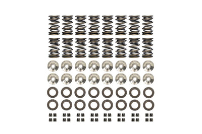 Ferrea Racing springs