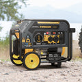 DUAL FUEL PORTABLE GENERATOR 4550/3