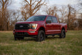 3 Inch Lift Kit | Forged UCA | N3 Struts | Ford F-150 4WD (2021-2026)