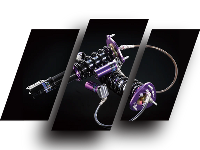 D2 Racing coilovers